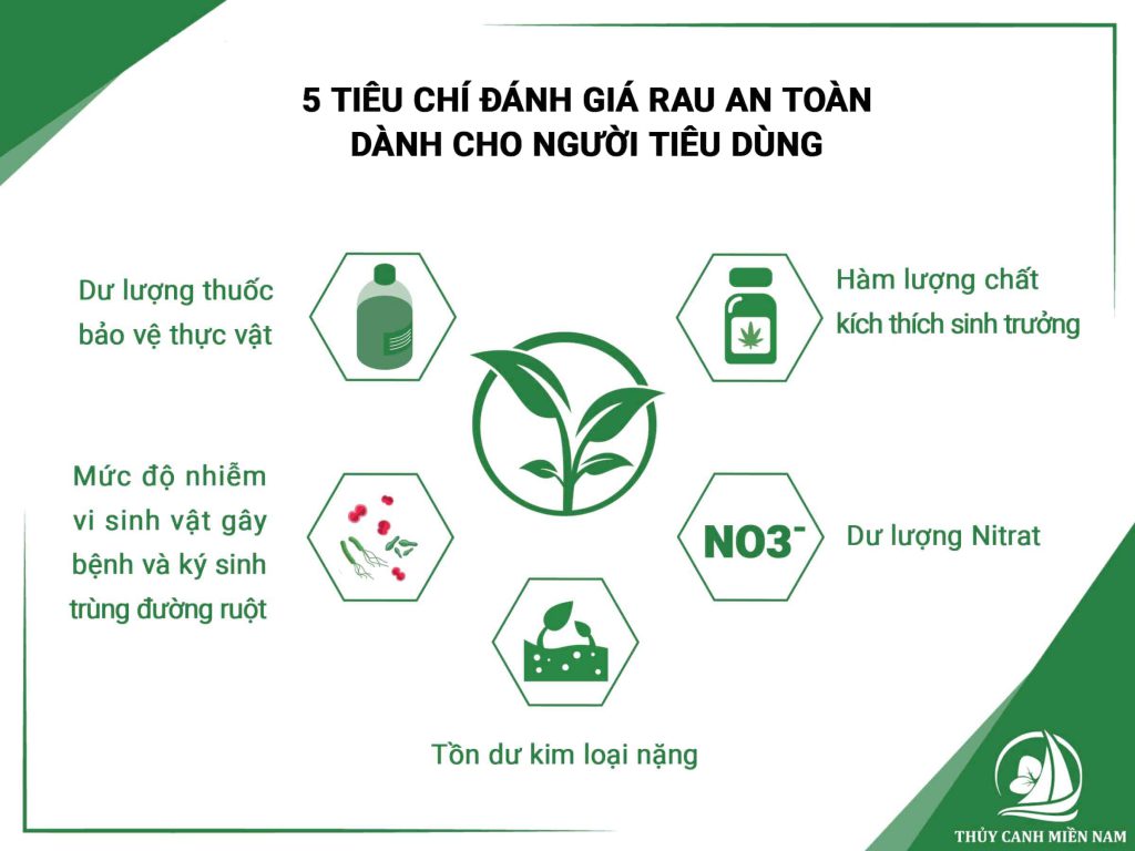 5-tieu-chi-danh-gia-rau-an-toan