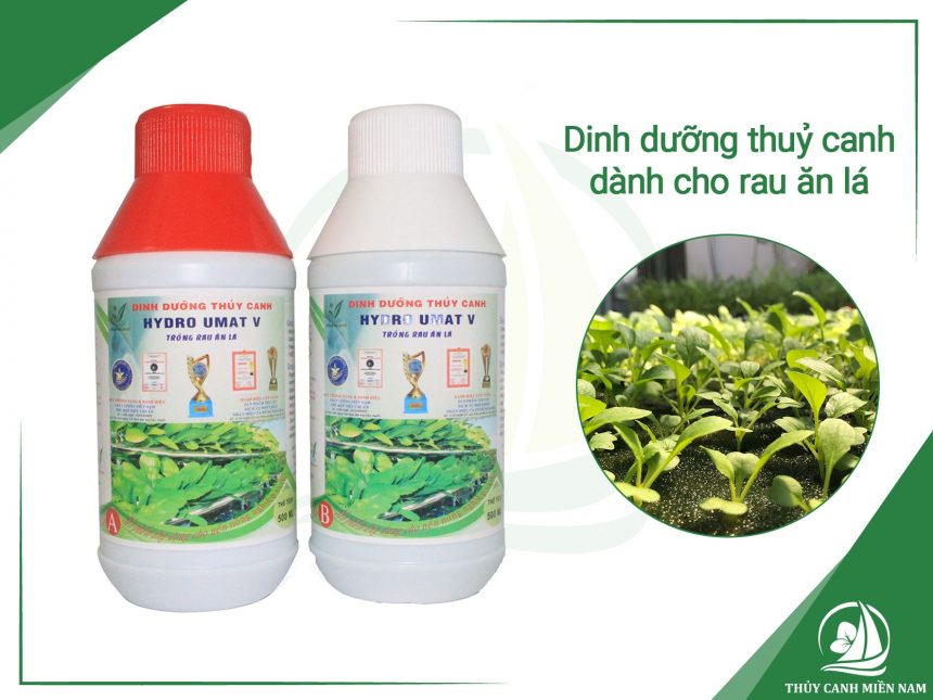 Dinh-duong-thuy-canh-danh-cho-rau-an-la