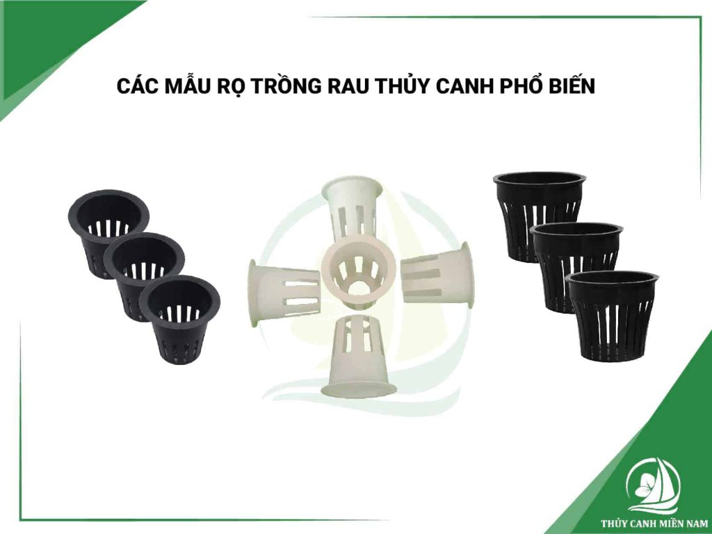 Những vật tư trồng rau thủy canh như các mẫu rọ trồng rau thủy canh không thể thiếu