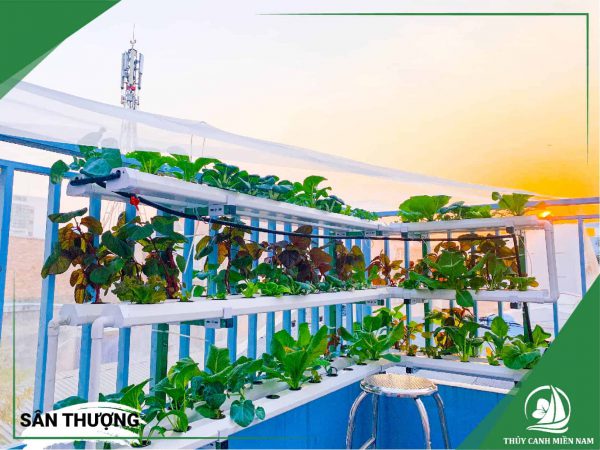 Thiết kế thi công vườn rau sân thượng