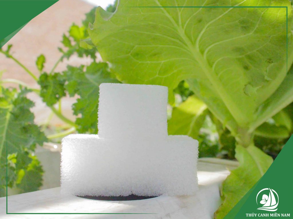 Mua giá thể thủy canh múi xốp nhẹ,thoáng khí