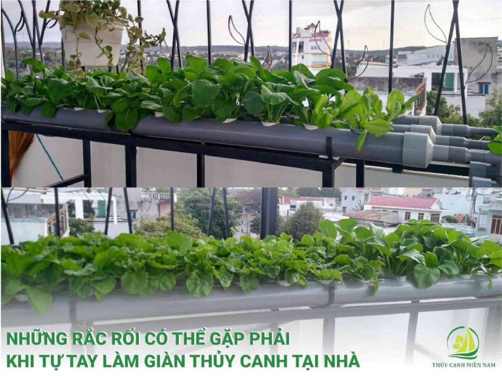 Những rắc rối có thể gặp phải khi tự tay làm giàn rau thủy canh tại nhà
