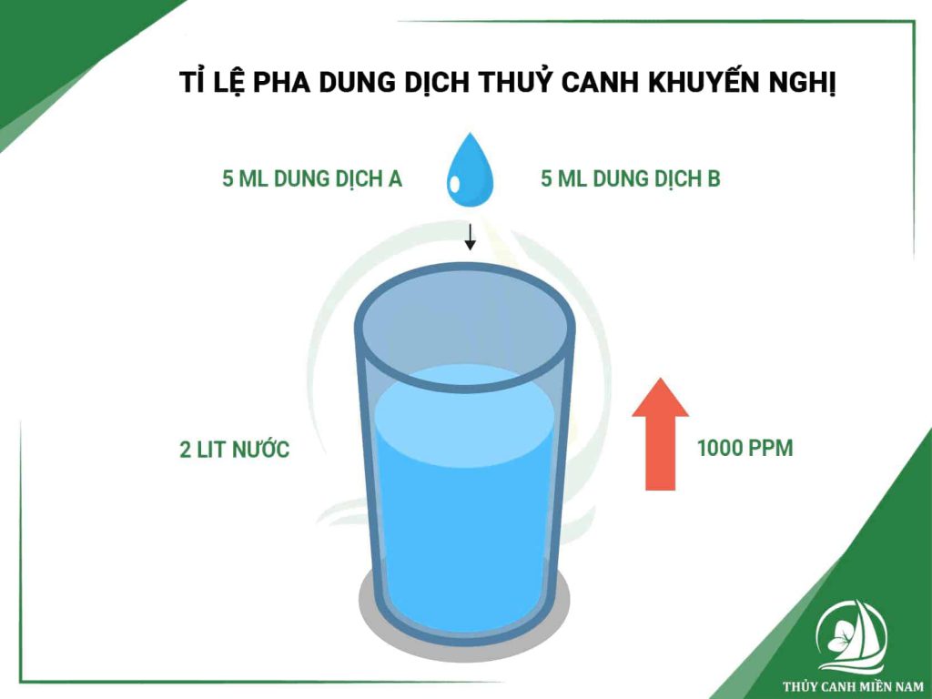 Nồng độ ppm và cách dùng bút đo nồng độ