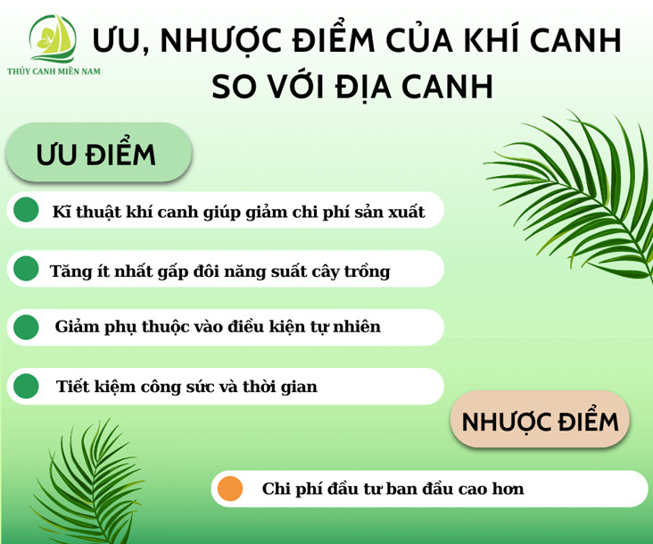 Ưu nhược điểm của khí canh so với địa canh