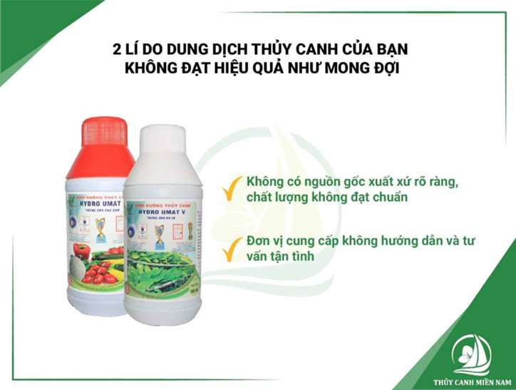 2 lí do dung dịch thủy canh của bạn không đạt hiệu quả như mong đợi