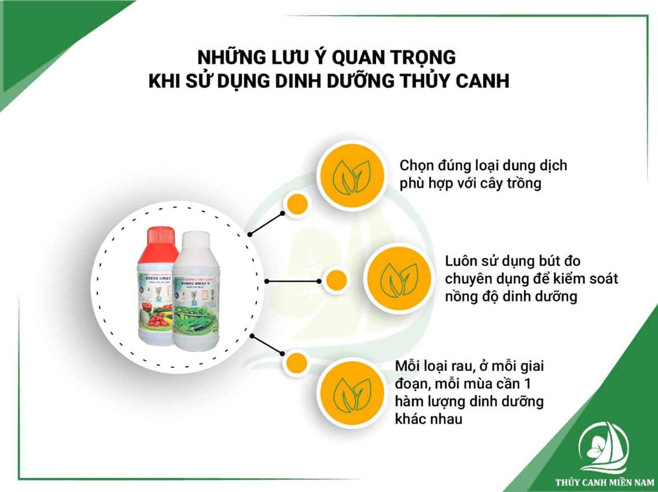 Những lưu ý quan trọng khi sử dụng dinh dưỡng thủy canh