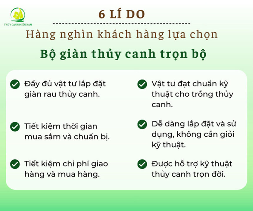 6 lý do hàng nghìn khách hàng lựa chọn bộ trồng rau thông minh của Thuỷ Canh Miền Nam