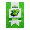 Hat giong xa lach Romaine Rang Dong