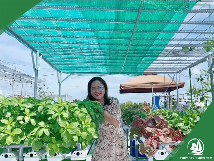 Thi công vườn rau sân thượng nhà anh Quốc