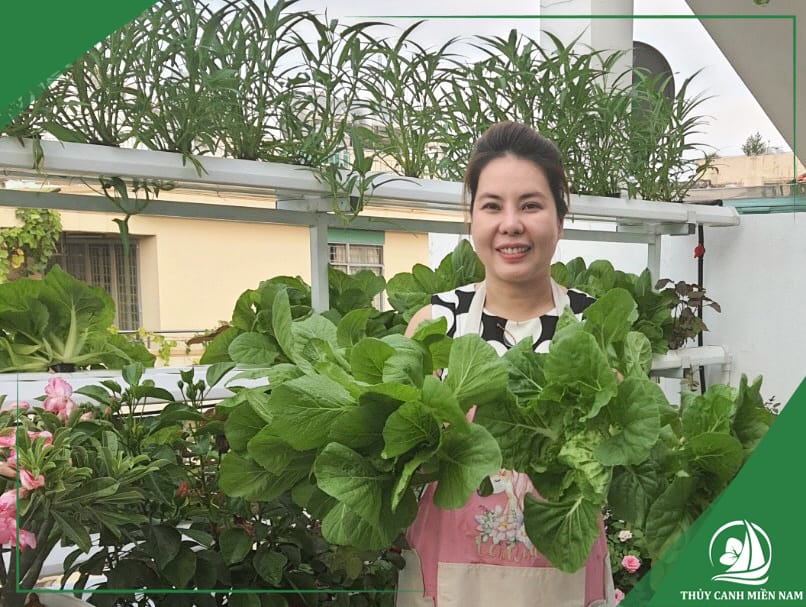 Khách hàng sử dụng dịch vụ thi công vườn rau nhà phố của Thuỷ Canh Miền Nam