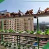 vuon-rau-thuy-canh-tai-ban-cong-nha-pho