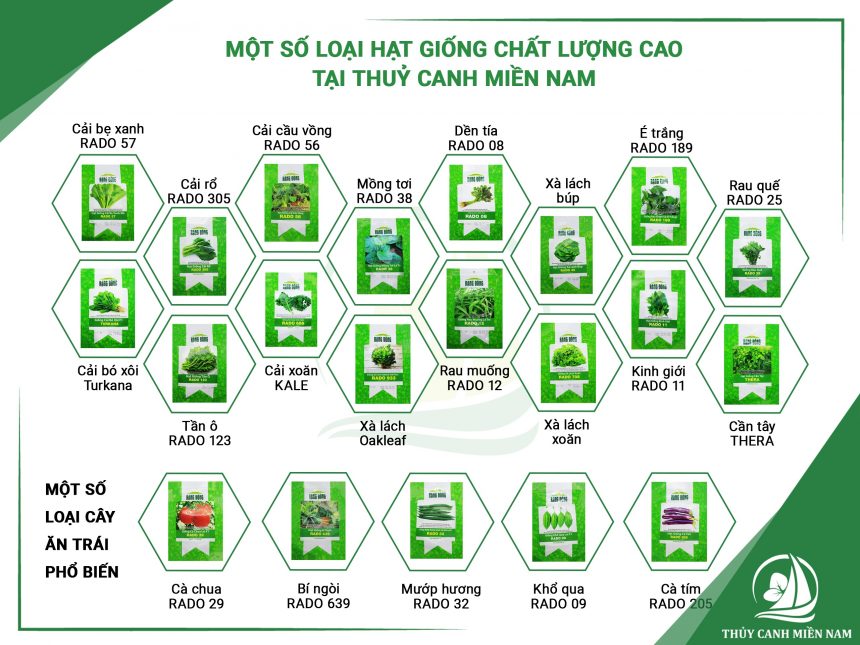 mot-so-loai-hat-giong-thuy-canh-chat-luong-cao