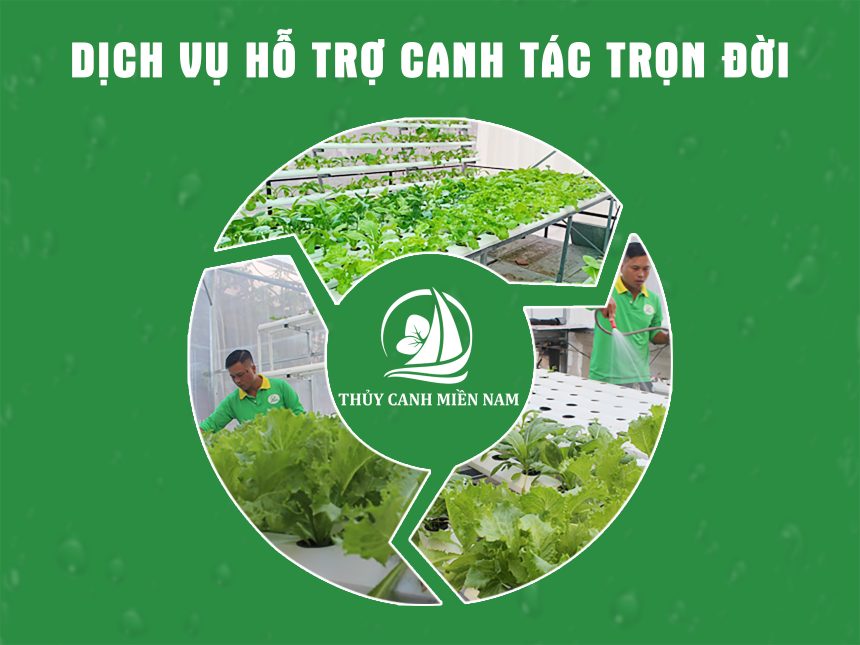dich-vu-ho-tro-cua-Thuy-Canh-Mien-Nam-giup-khach-hang-canh-tac-hieu-qua