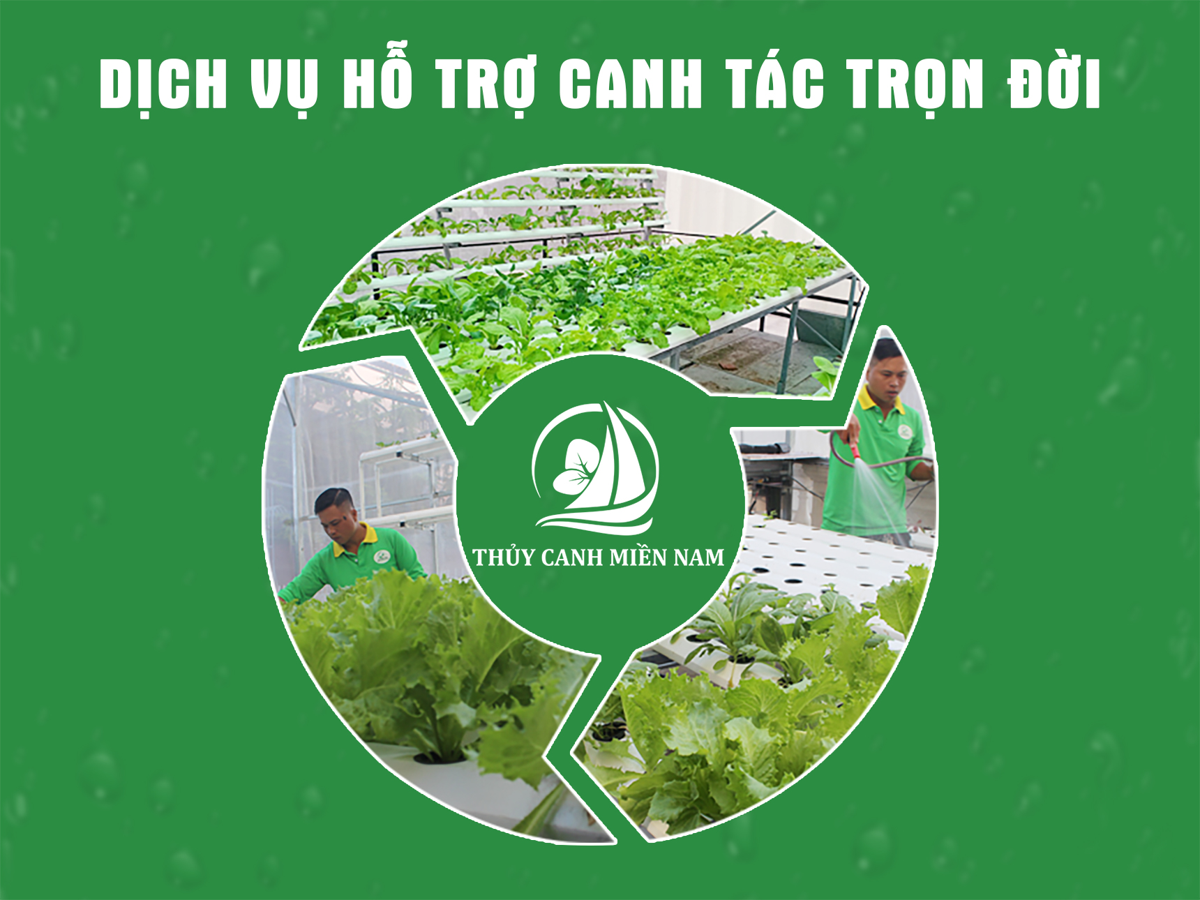 dich-vu-ho-tro-cua-Thuy-Canh-Mien-Nam-giup-khach-hang-canh-tac-hieu-qua