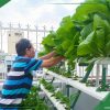 Thuy-Canh-Mien-Nam-dong-hanh-cung-khac-hang-canh-tac-hieu-qua