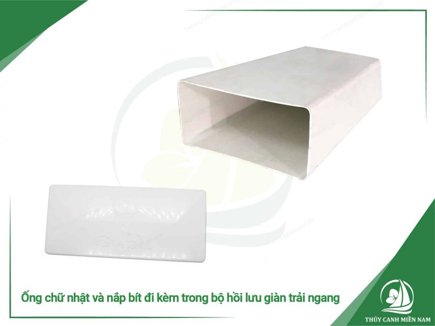 ong-chu-nhat-va-nap-bit-di-kem-trong-bo-hoi-luu-gian-trai-ngang