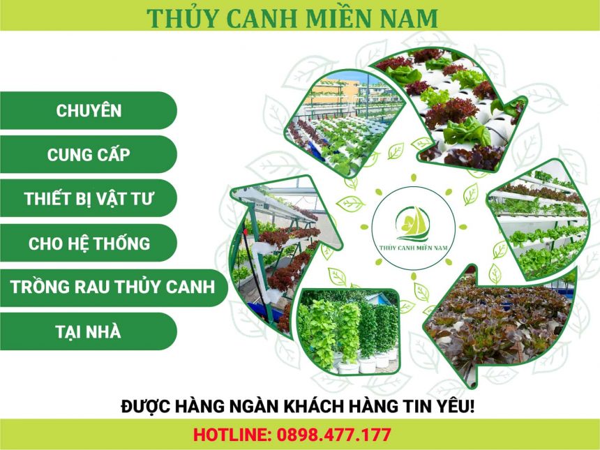 Thủy Canh Miền Nam là địa chỉ cung cấp đầy đủ vật tư thủy canh