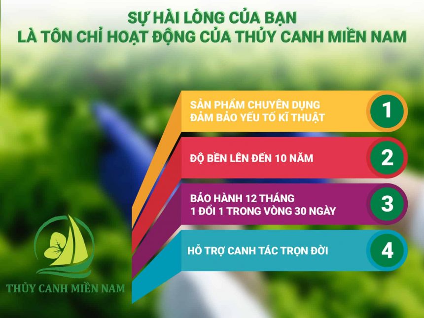 Cam-ket-cua-Thuy-Canh-Mien-Nam-doi-voi-cac-san-pham-vat-tu