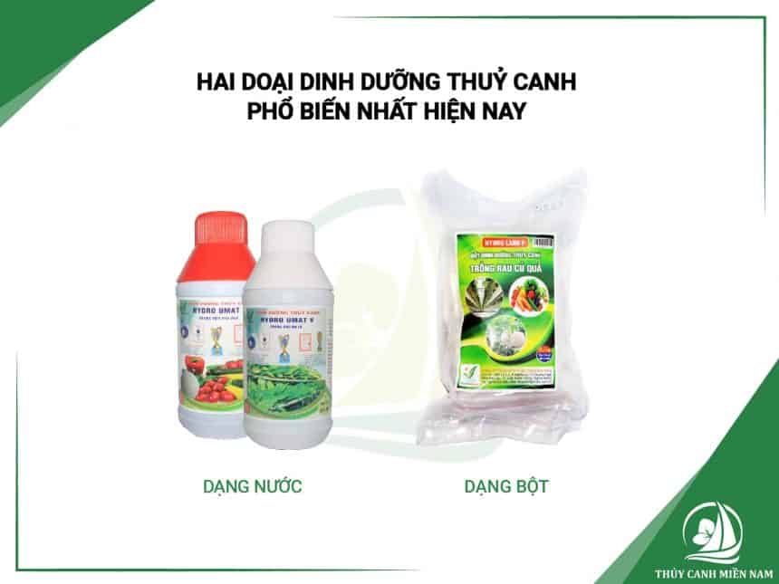 dinh-duong-thuy-canh