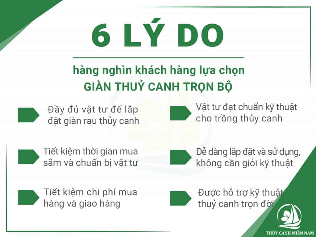6-ly-do-hang-nghin-khach-hang-lua-chon-gian-trong-rau-tron-bo