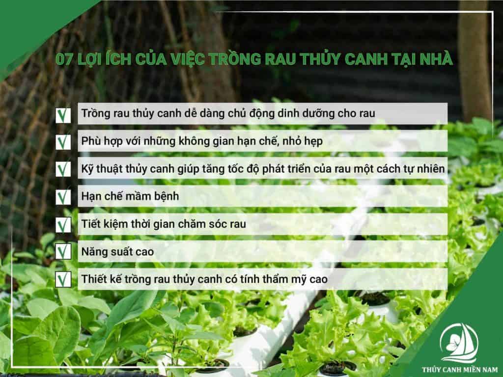 7-loi-ich-cua-viec-trong-rau-thuy-canh-tai-nha