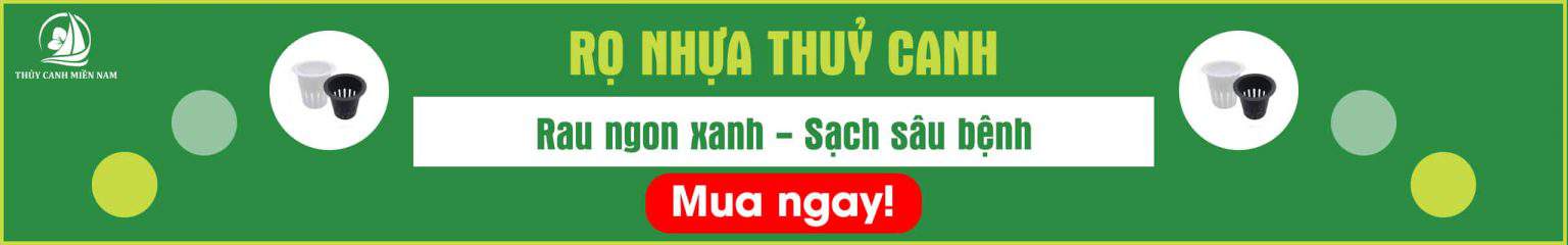 ro-nhua-thuy-canh