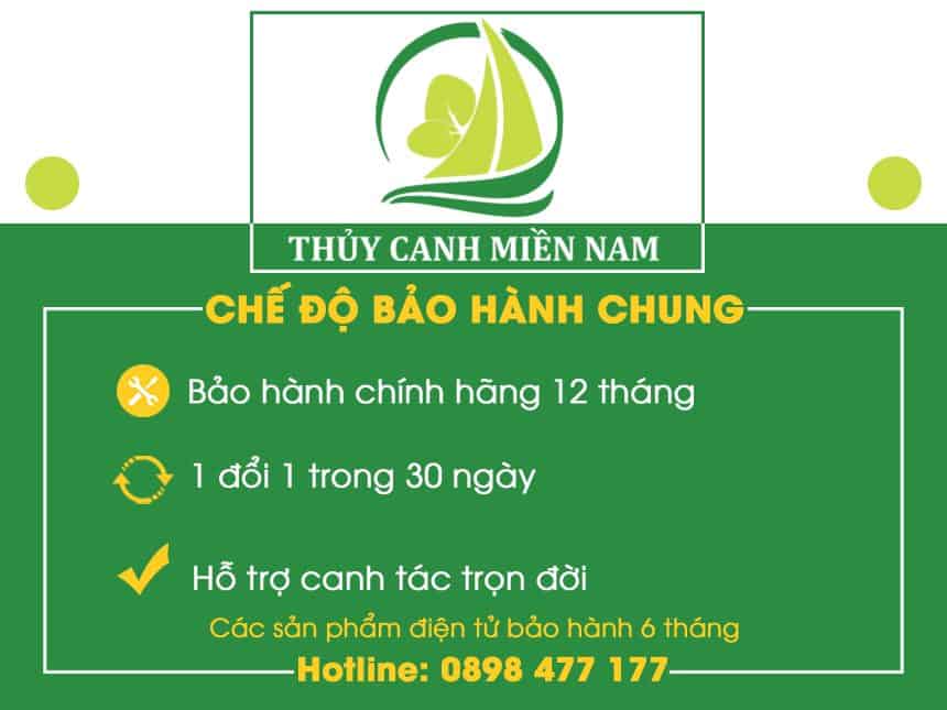 che-do-bao-hanh-tai-thuy-canh-mien-nam che-do-bao-hanh-tai-thuy-canh-mien-nam