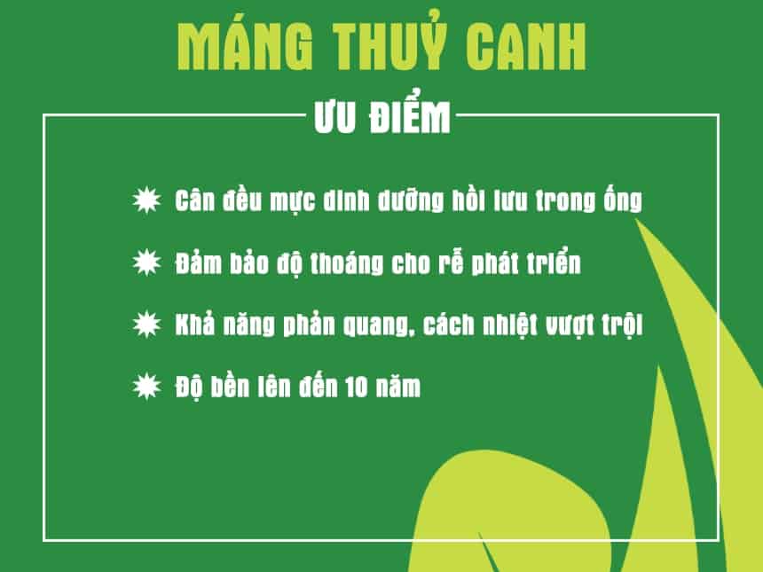 uu-diem-vuot-troi-cua-mang-thuy-canh-luc-giac