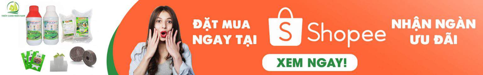 dat-mua-ngay-tren-shopee