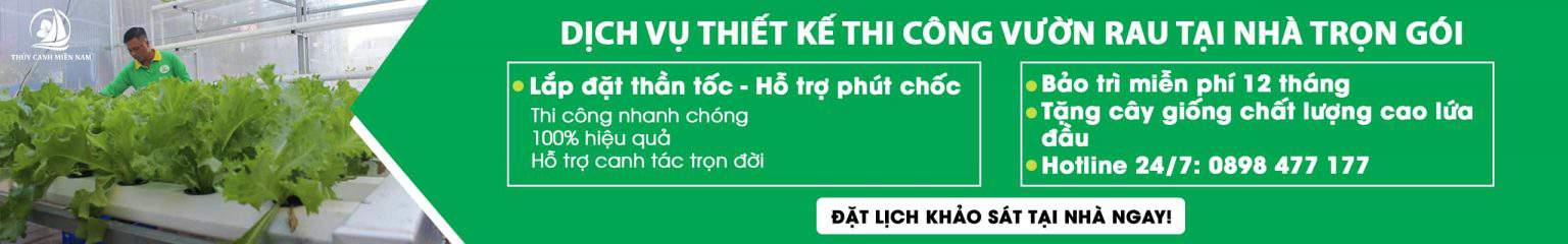 dich-vu-thiet-ke-thi-cong-vuon-rau-tron-goi-uy-tin-chat-luong