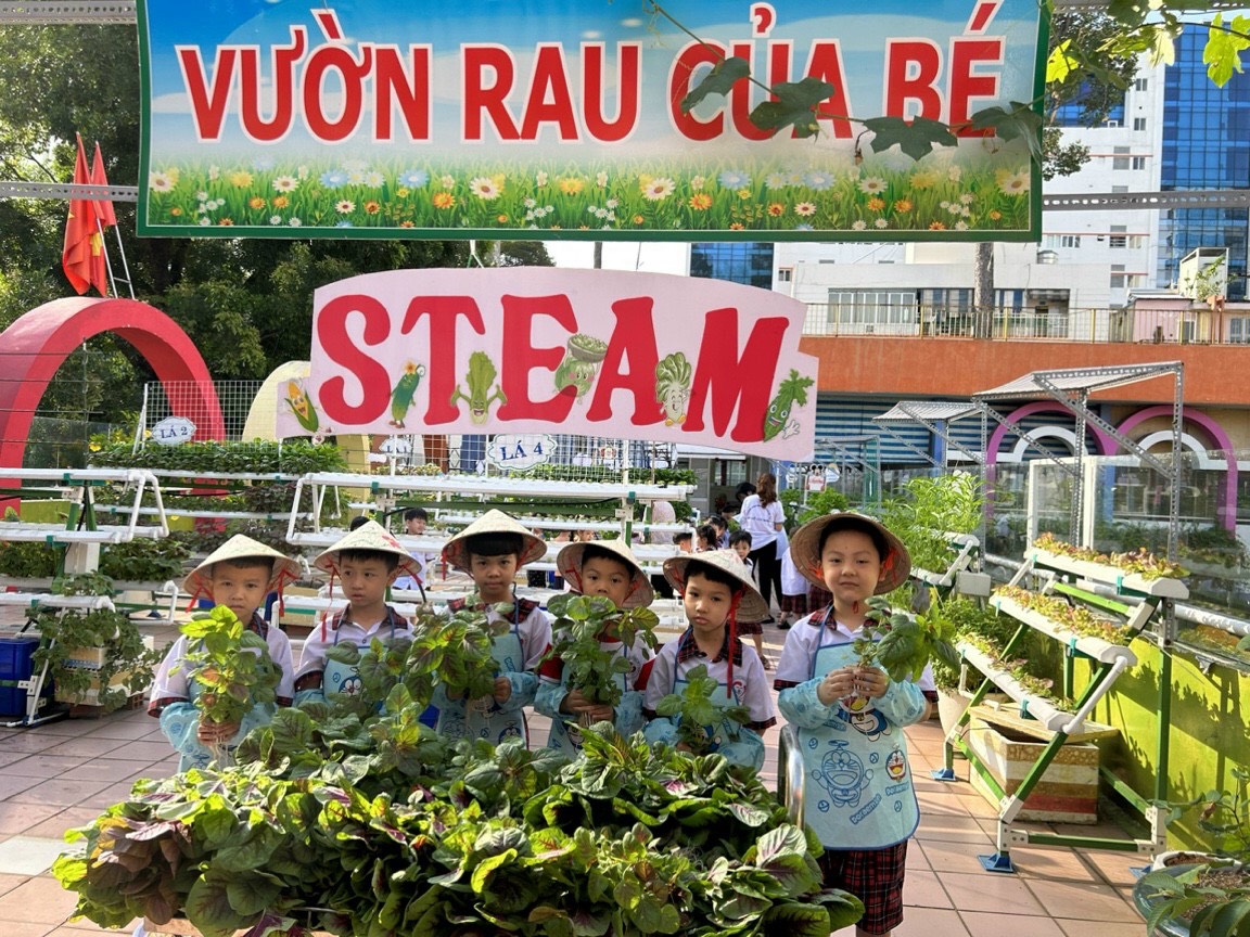 thiết kế vườn rau trường học