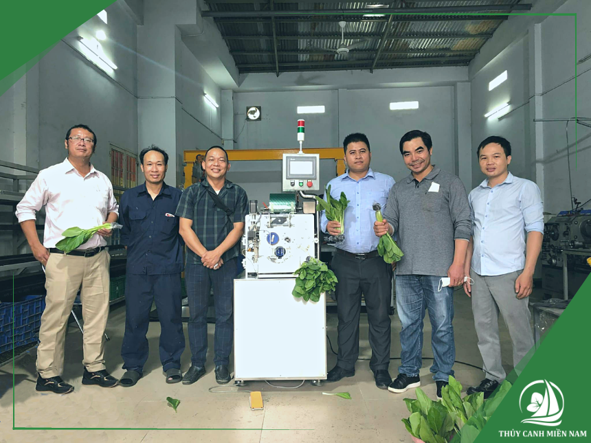 máy cuốn rễ rau thủy canh