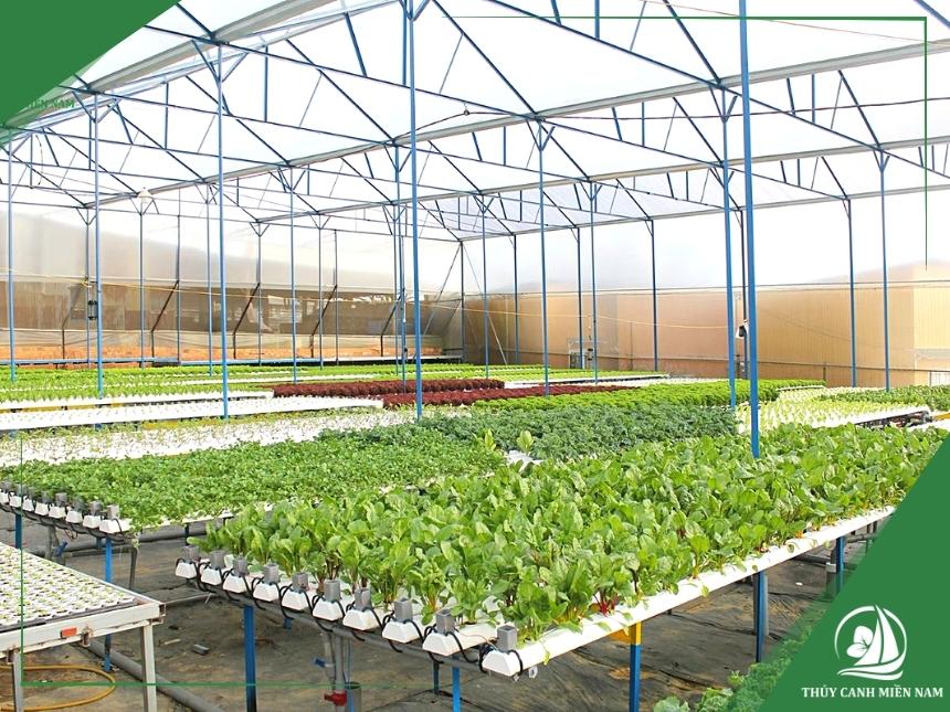 farm thuy canh