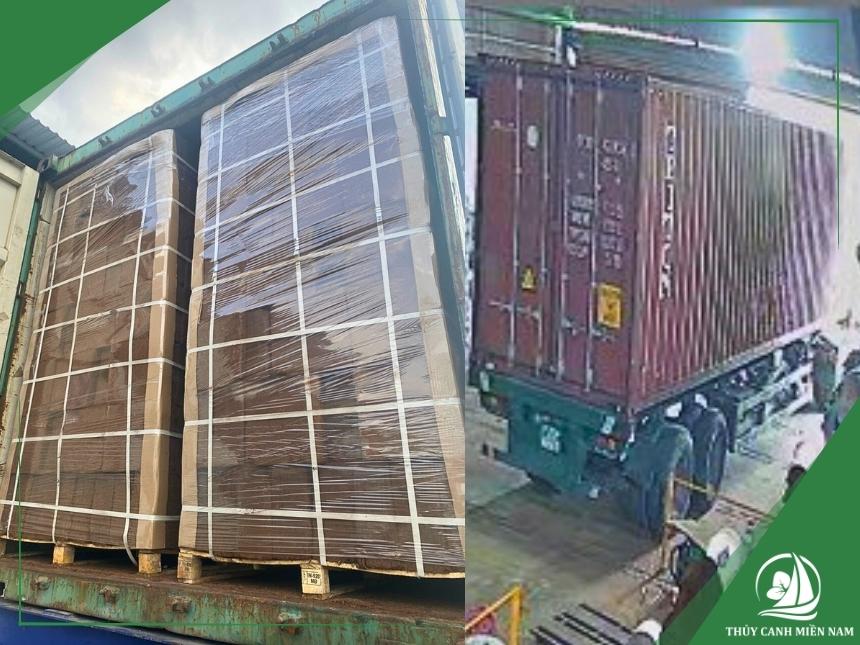 xuất khẩu bánh xơ dừa tcmn