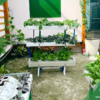 Bộ trồng rau đứng ban công