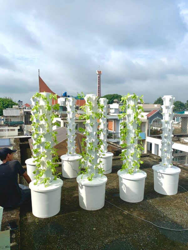 Trụ đứng trồng rau thông minh