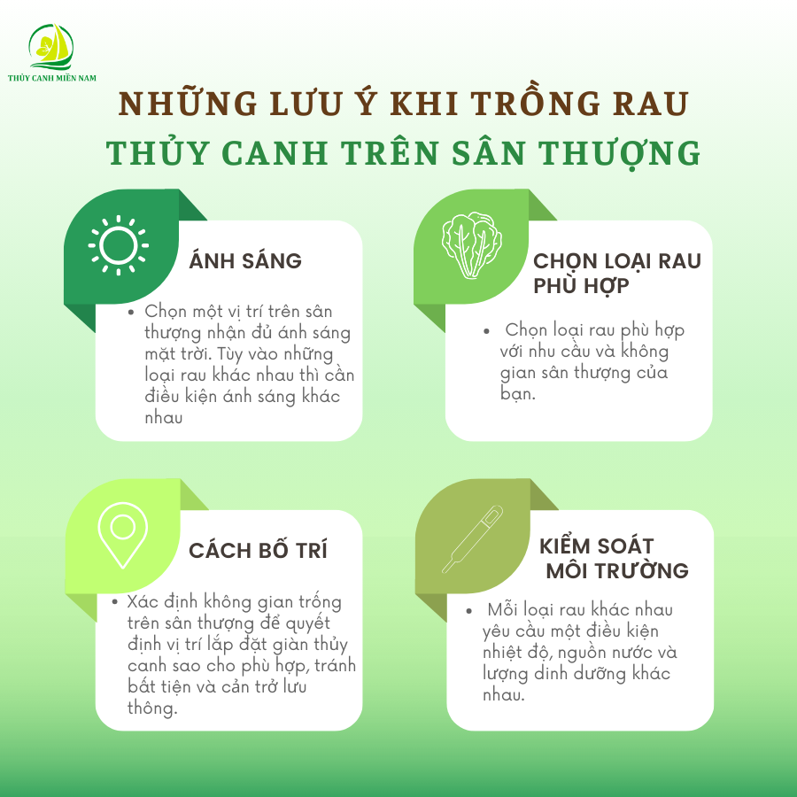 Những lưu ý khi trồng rau trên sân thượng