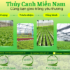 Thủy Canh Miền Nam