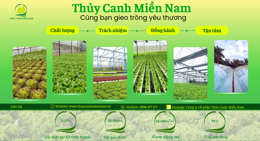Thủy Canh Miền Nam