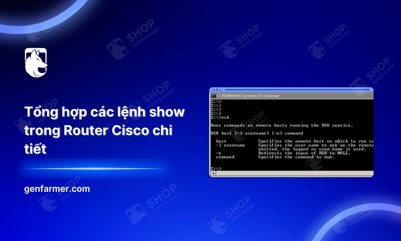 19. Tong hop cac lenh show trong Router Cisco chi tiet 1