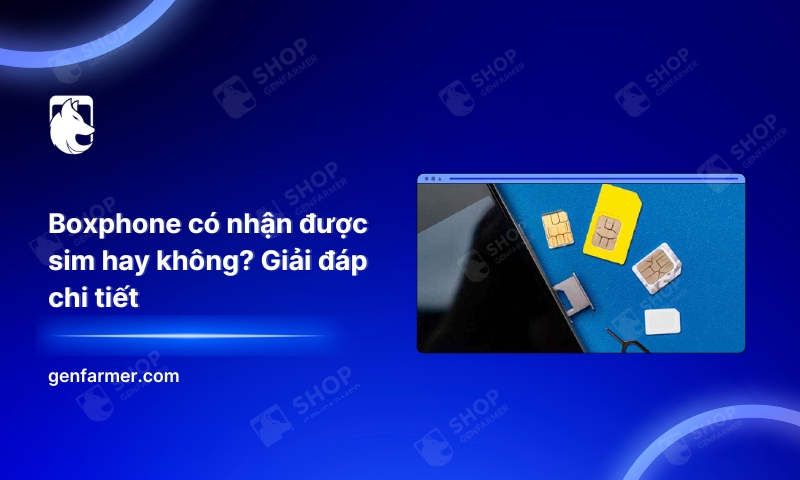 7. Boxphone co nhan duoc sim hay khong Giai dap chi tiet 1