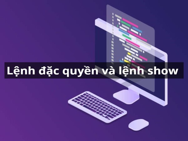 Comandos privilegiados y comandos show en un router