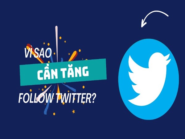Vì sao cần tăng follow Twitter và Buff Follow Twitter để làm gì? Vì sao cần tăng follow Twitter và Buff Follow Twitter để làm gì?