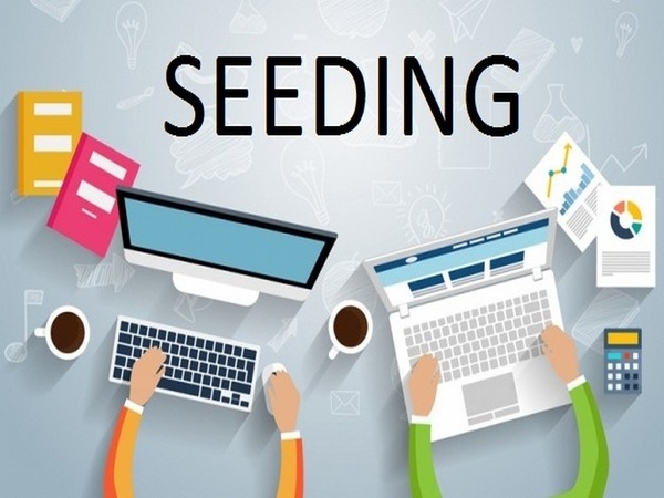 Seeding Comment là gì?