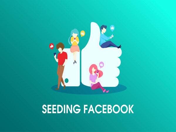 Những điều cần lưu ý khi Seeding Comment trên Facebook